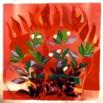 Burning Bush